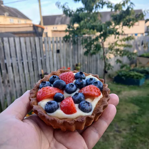 [homemade] Berry Tart with Crème Pâtissière