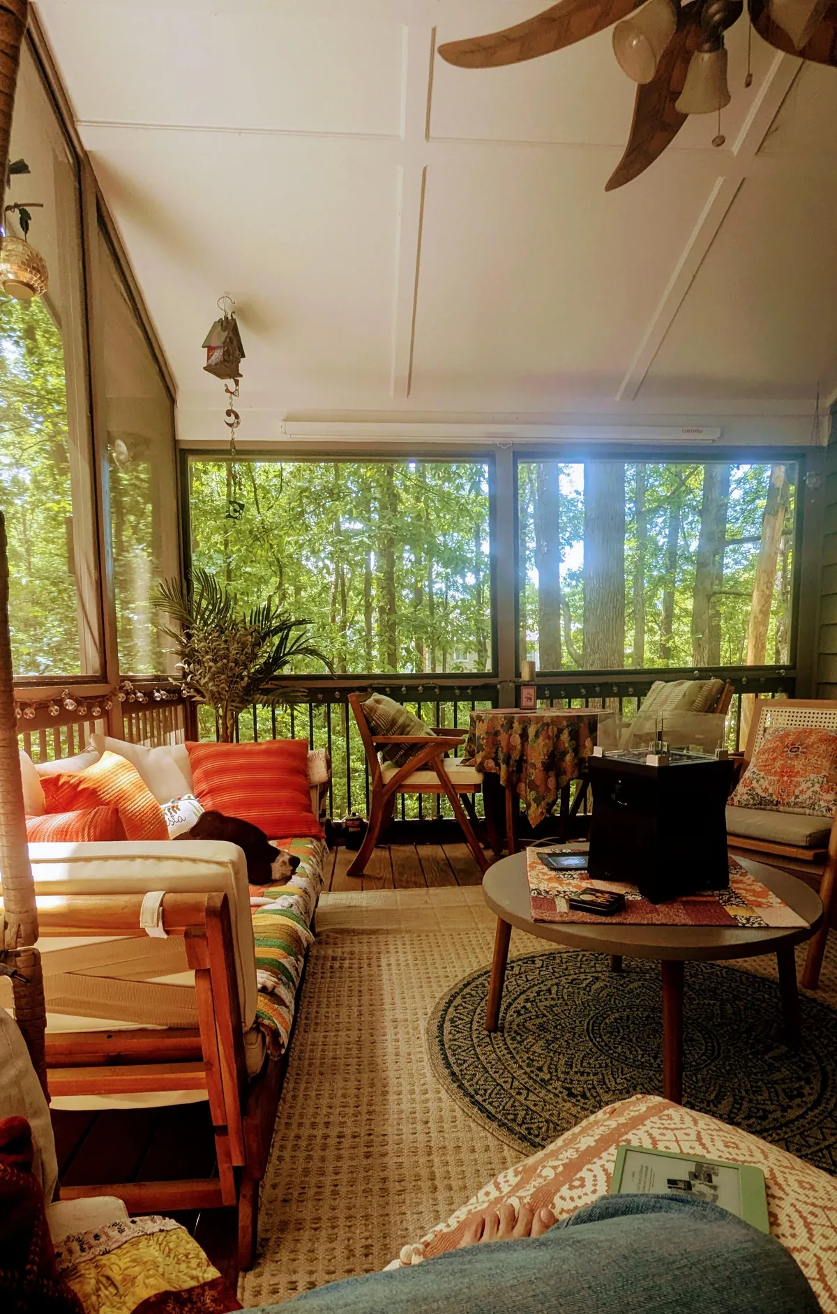 Sunday afternoon reading on my cozy porch