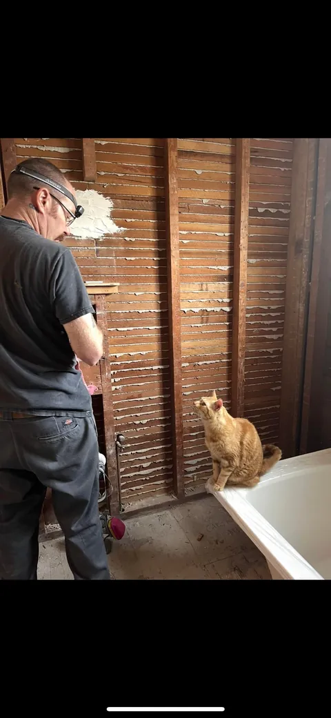 My husband and his cat remodeled our bathroom. He’s a tough foreman (the cat)
