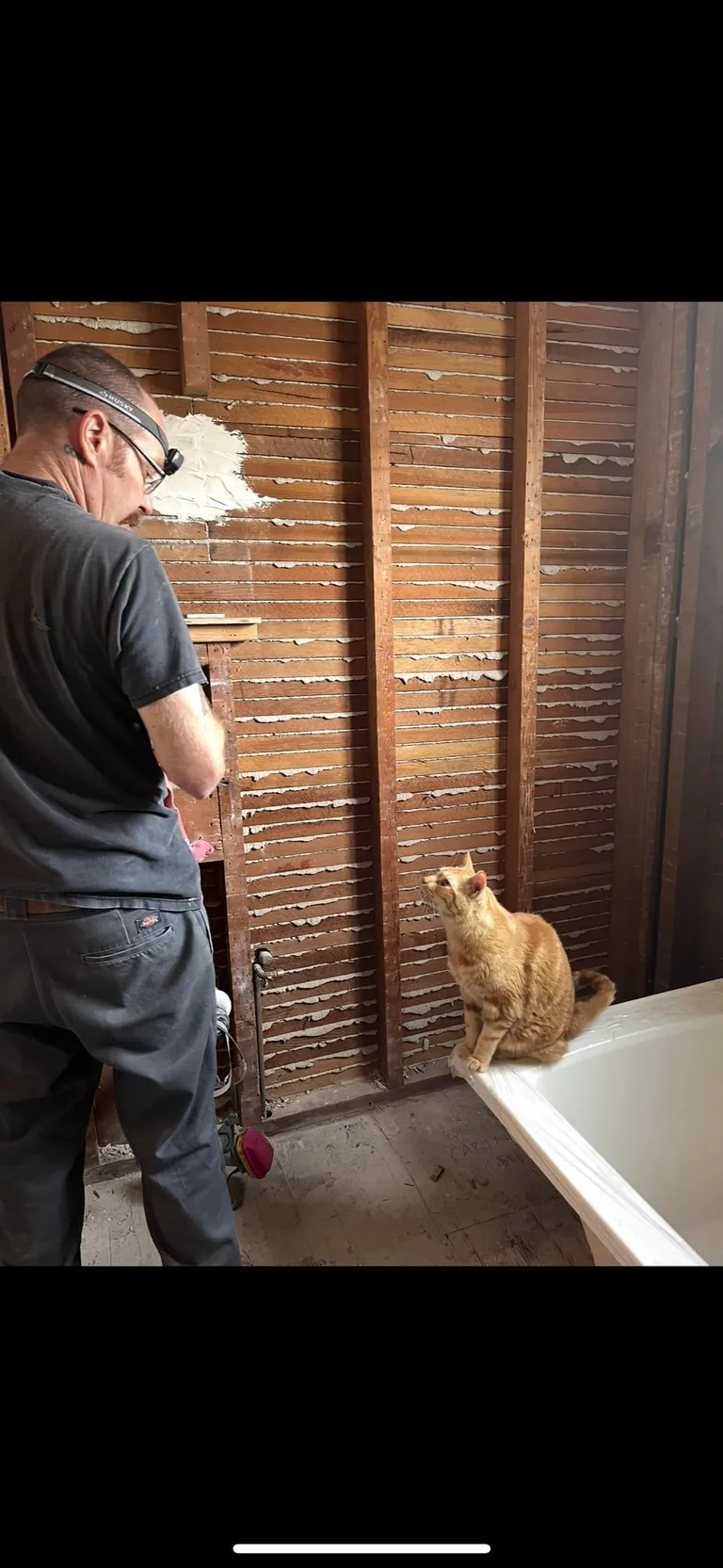 My husband and his cat remodeled our bathroom. He’s a tough foreman (the cat)