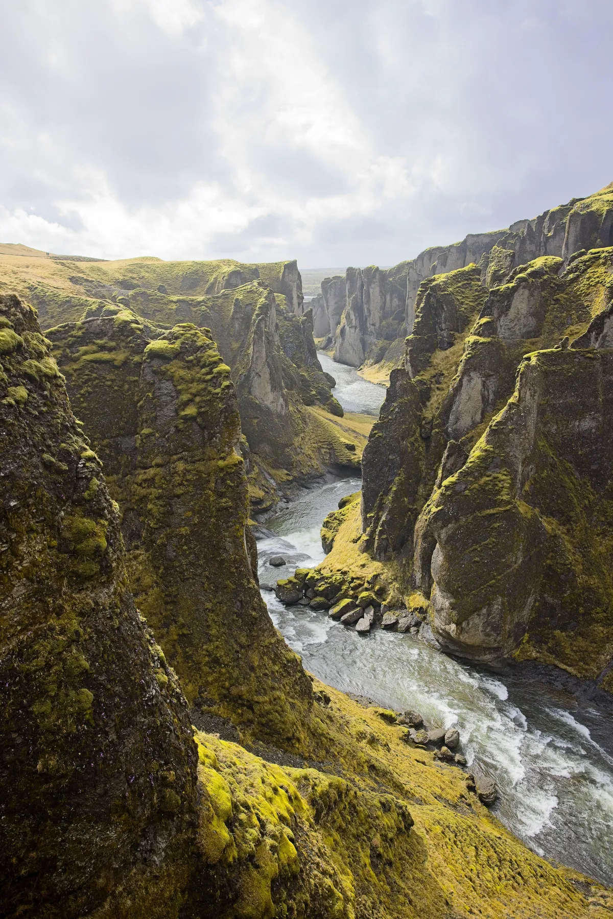 Fjaðrárgljúfur Canyon, Iceland [OC] (3266x4897)