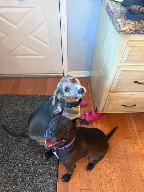 Last Waffles update for today. Cozy and calm after a big day.