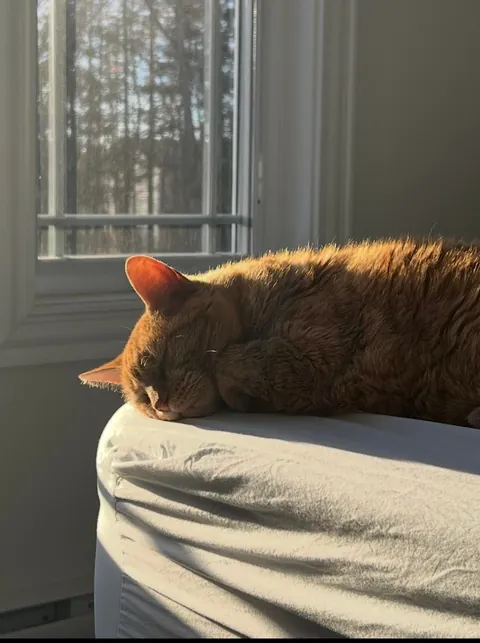 Celebrated his 19th birthday in September.