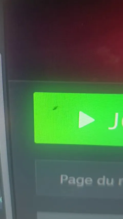 It seems my PC has a bug. An insect crawled behind my screen.