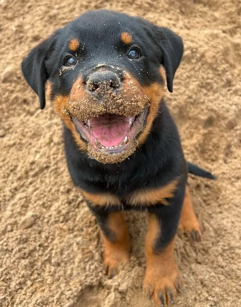 It's his first day at the beach 🥰