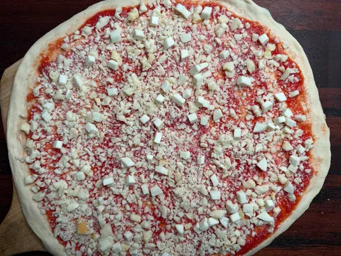 [Homemade] cheese pizza progress