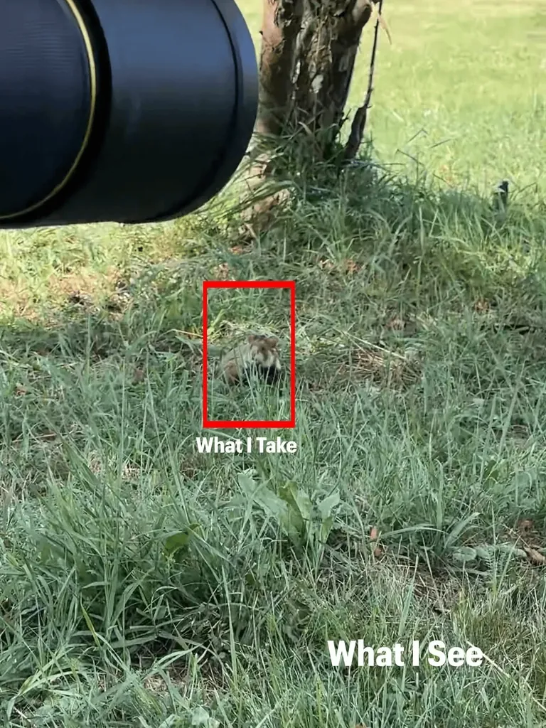 Photographer Shows His POV vs The Photos He Takes.