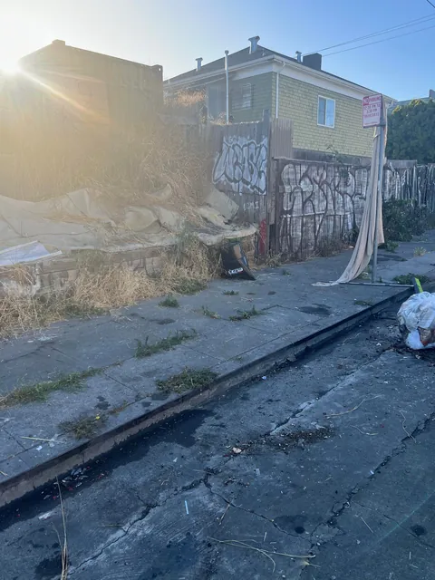 As a sole volunteer, I work in my free time to help remove illegal dumping across the San Francisco Bay Area