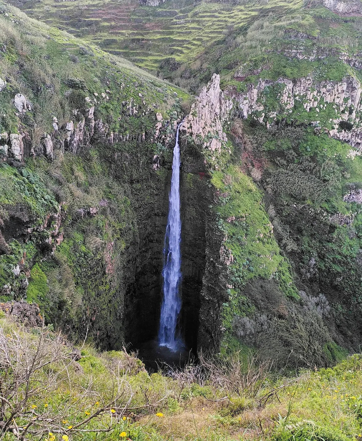 Madeira is a paradise for nature lovers. Five days on the island in pictures.