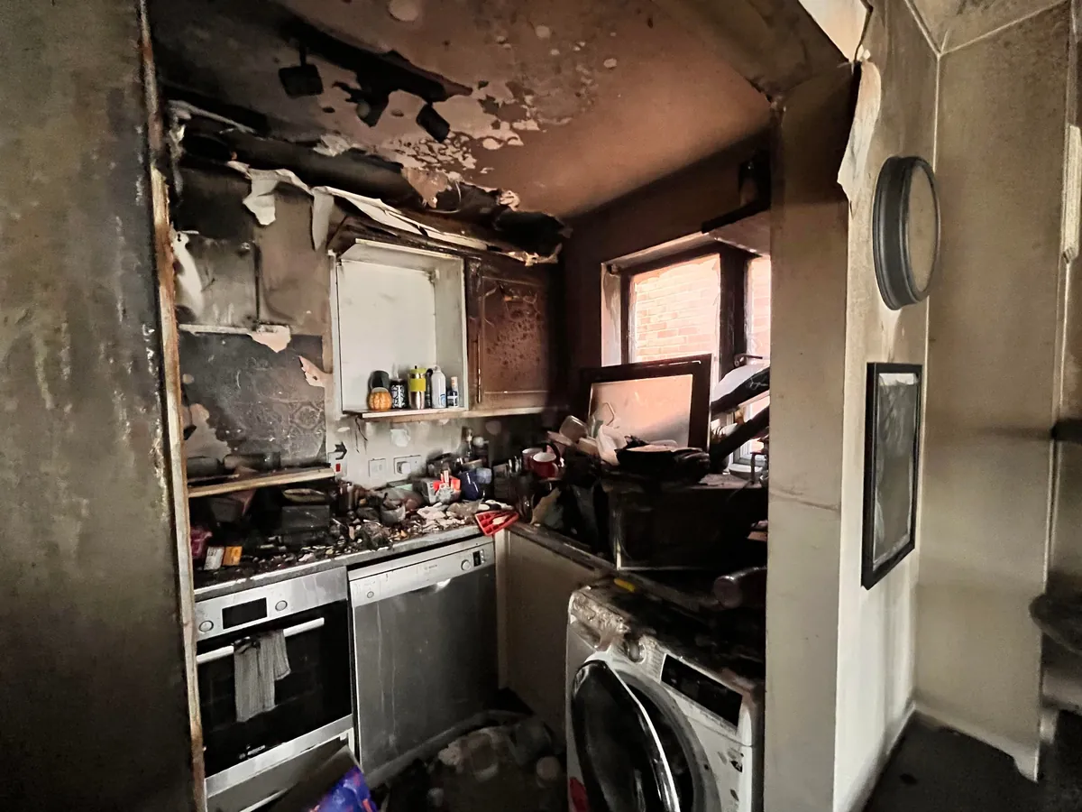 2 months today since my void was rescued from a fire in my apartment