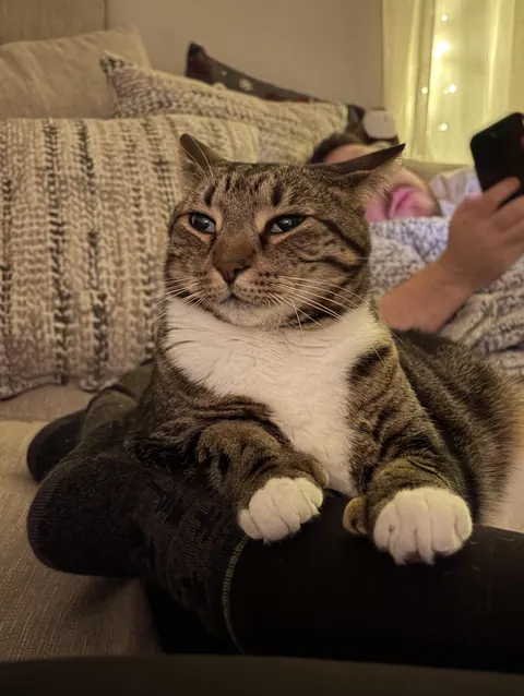 So happy to be snuggling on the couch