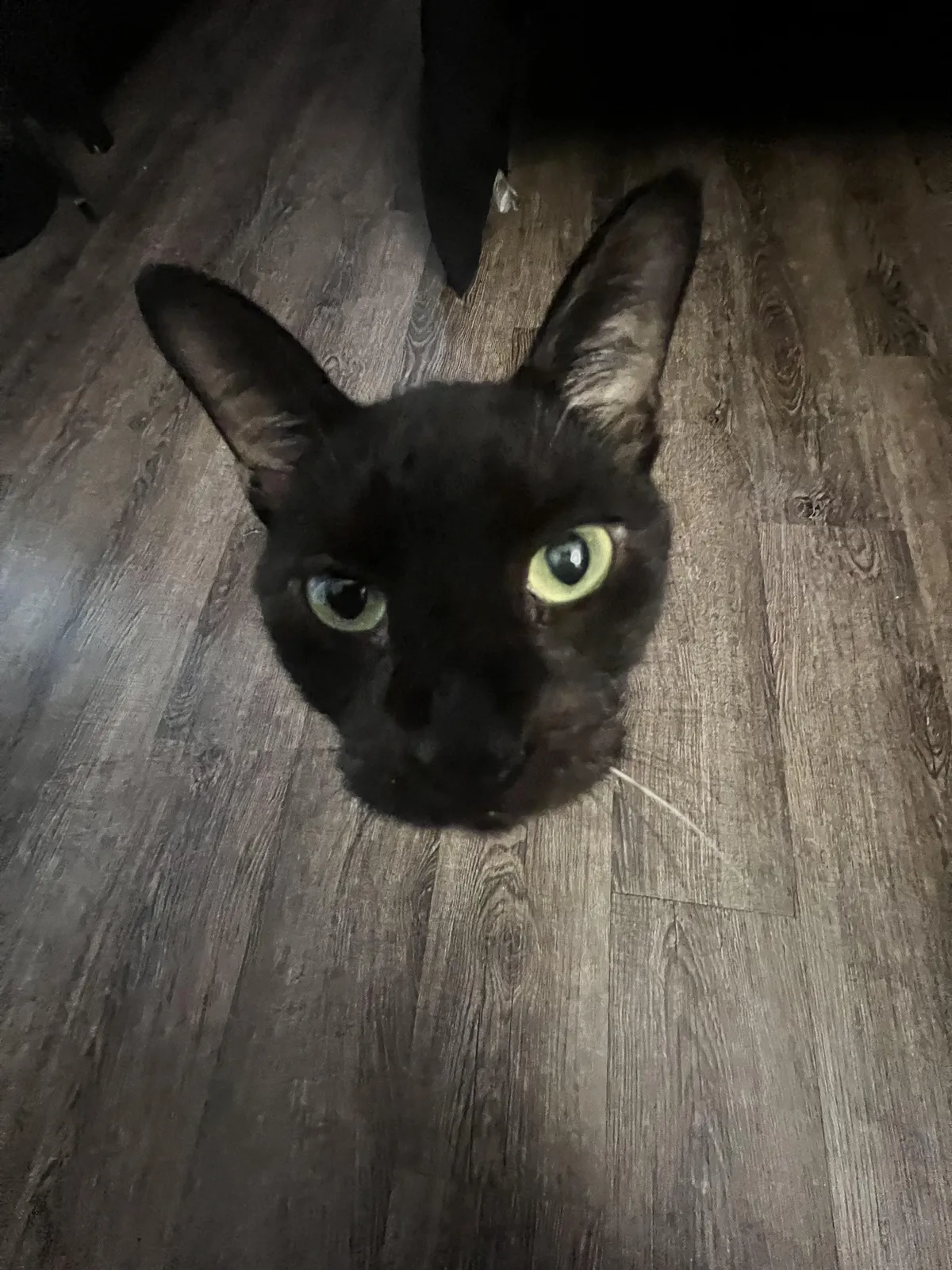 took a .5 pic of my son and now he looks like a floating head