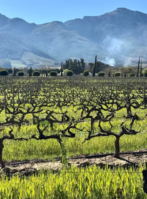 Cape Town is my favorite new city!