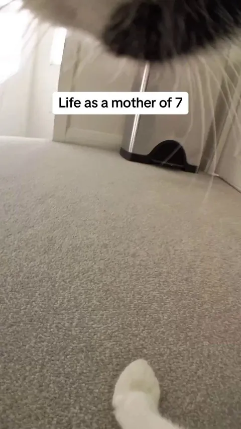 I can watch this all day 