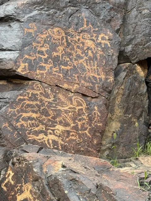 Mongolia trip report &amp; pics