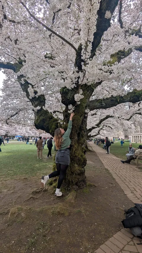 F20- Nothing you say will make me cry harder than studying for the LSAT. Wish me luck!