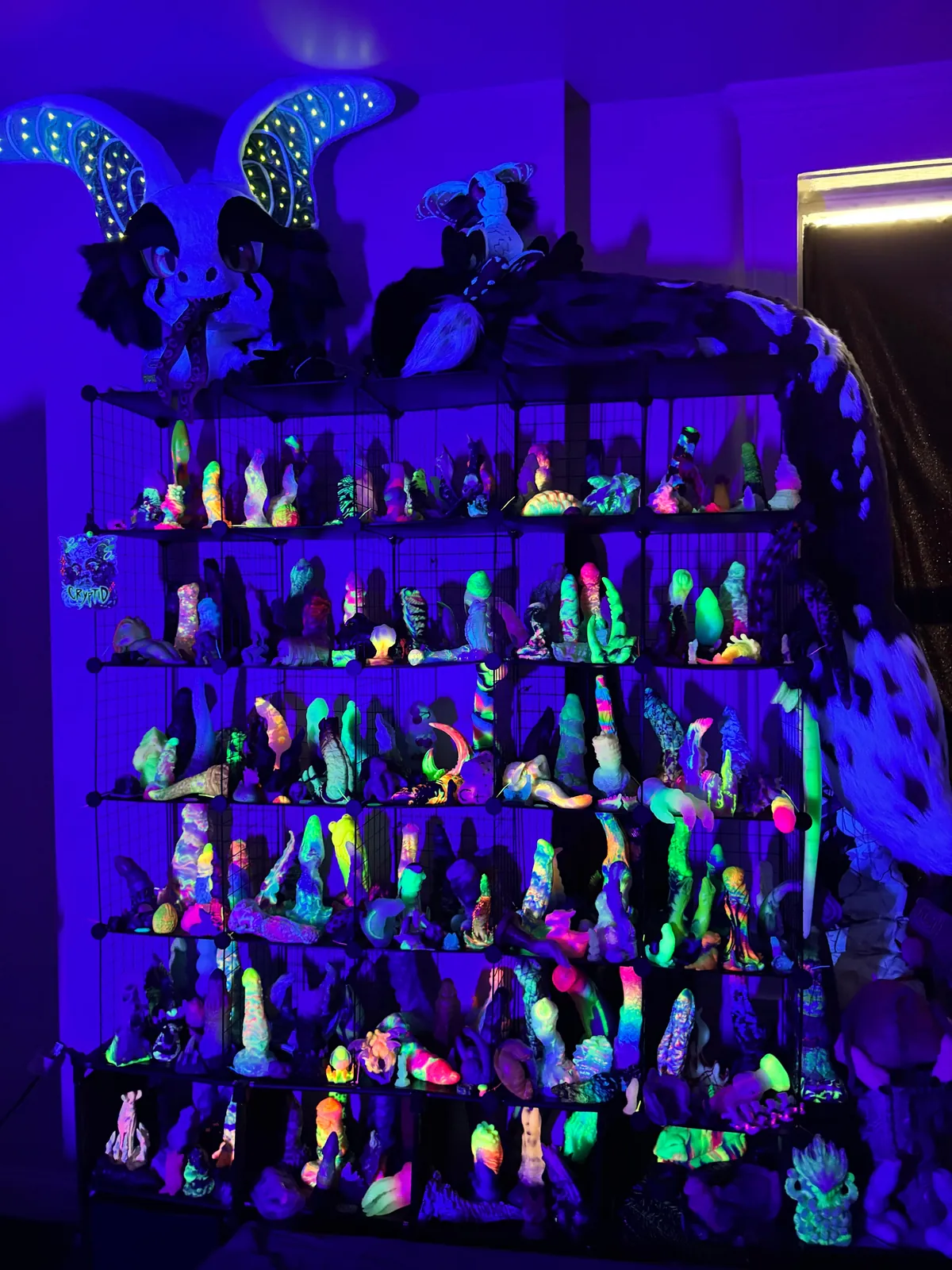 Updated Shelving: Recreating Color Out of Space 2.0