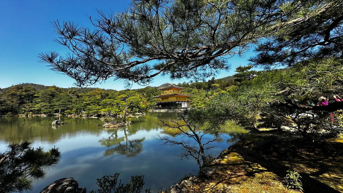 Japan 🇯🇵 is unreal