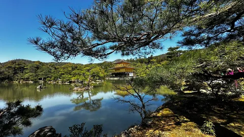 Japan 🇯🇵 is unreal