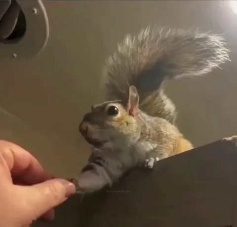 Bro felt this feeling for the first time.