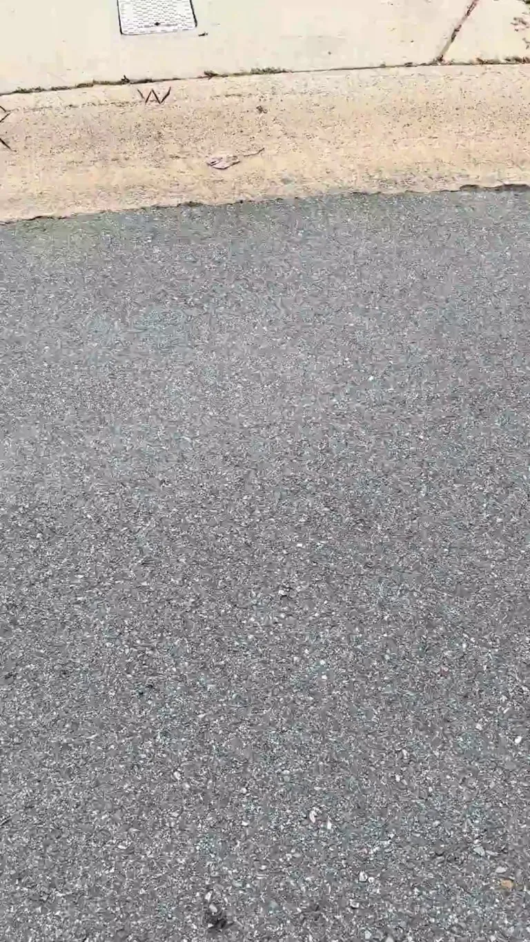 I’m a UPS delivery driver and I found a kitty!!