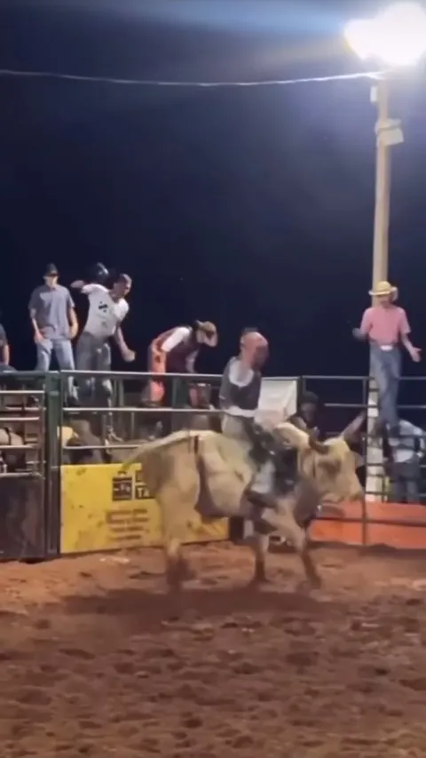 Do you wanna ride? Ask the bull.