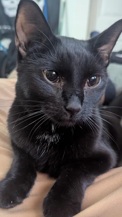 This is my new boy, Oney.