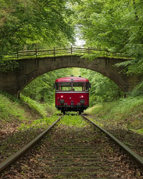 ITAP of a vintage train on a forest railway
