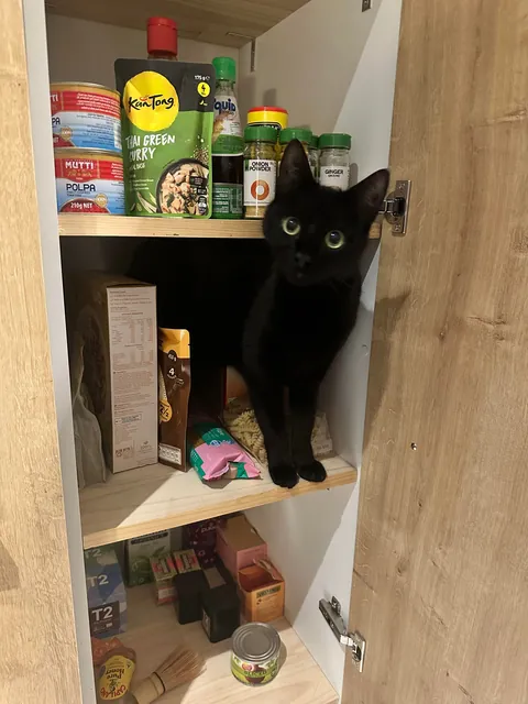 The reason I can’t leave cupboards open..