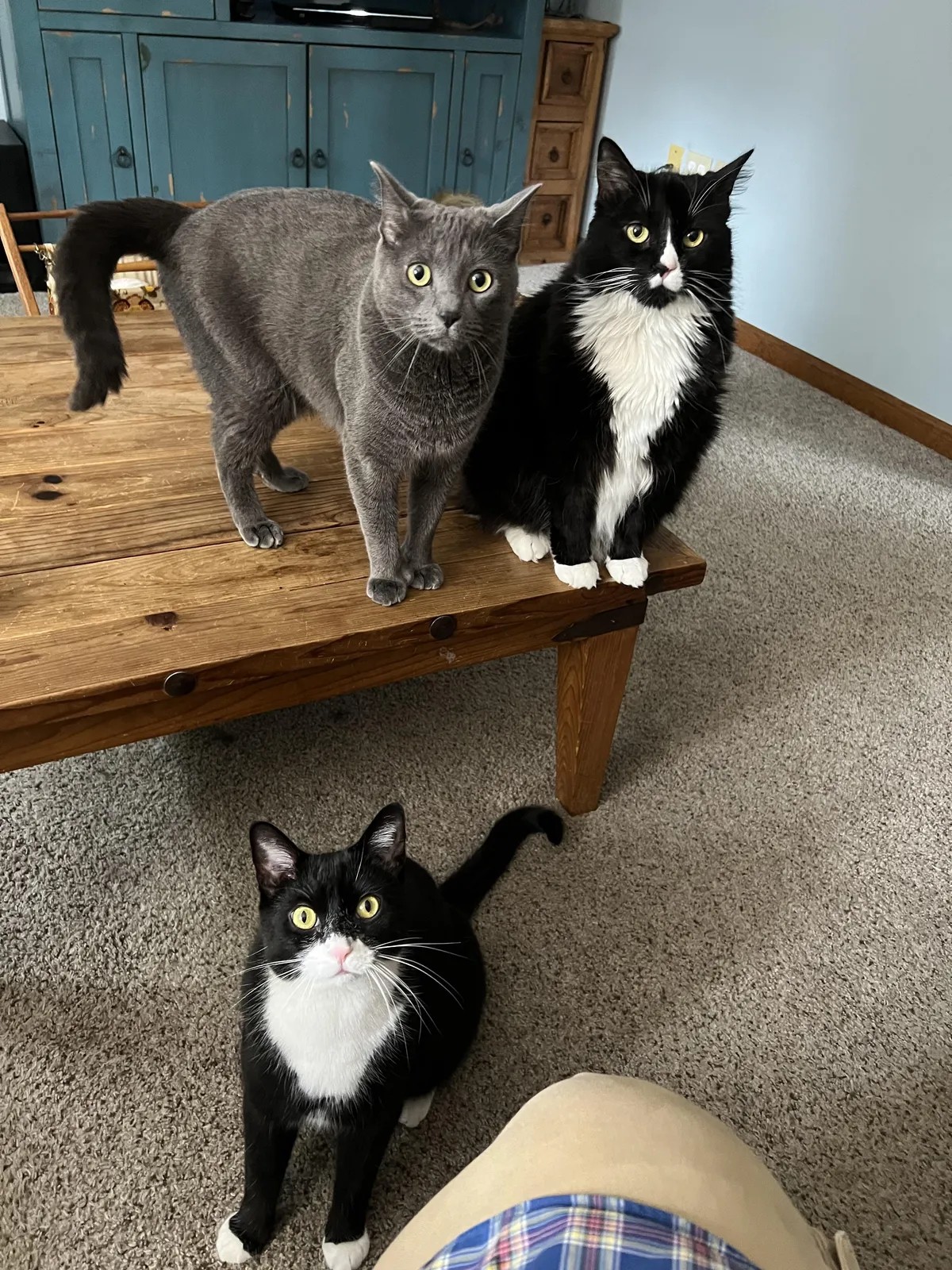 Dinner’s not until 5:00. Everyday at 4:00.