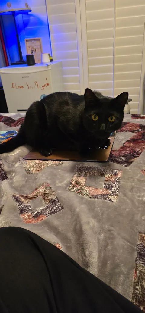 Its Friday the 13th!! Show me your Voids!!!