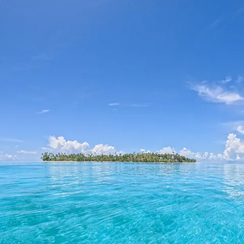 I returned to New Guinea, to a very remote atoll for a month long trip, living off the ocean.