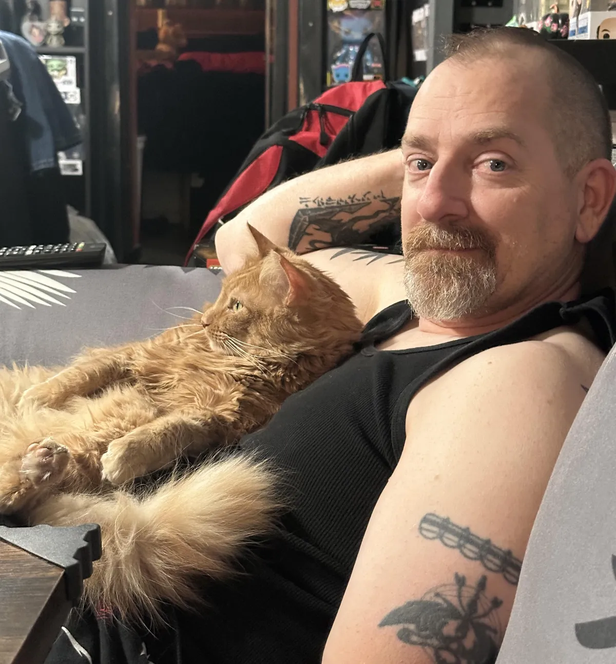 Jim was the longest resident at the shelter. He hid when we got him home. A year later: