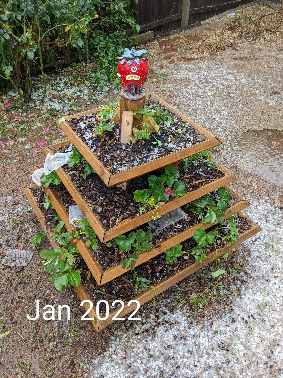 The strawberry pyramid 