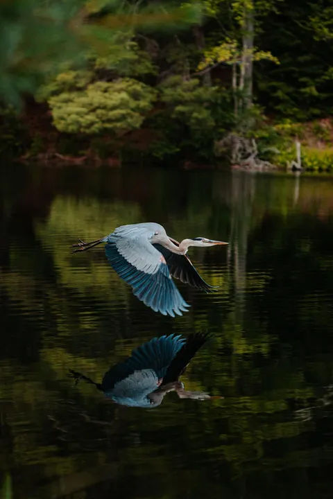 One of my favorite photos I took last year , what you guys think ?