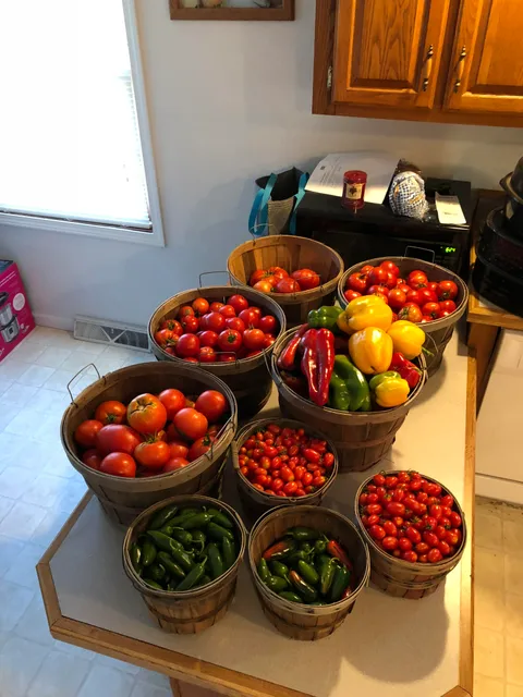 Last nights harvest went better than expected!