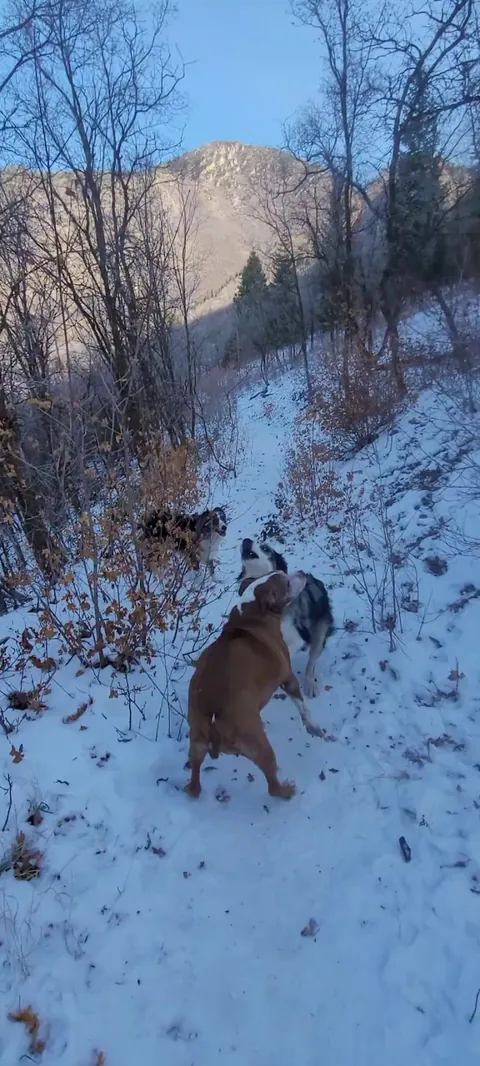 Alway having fun together 😊😍