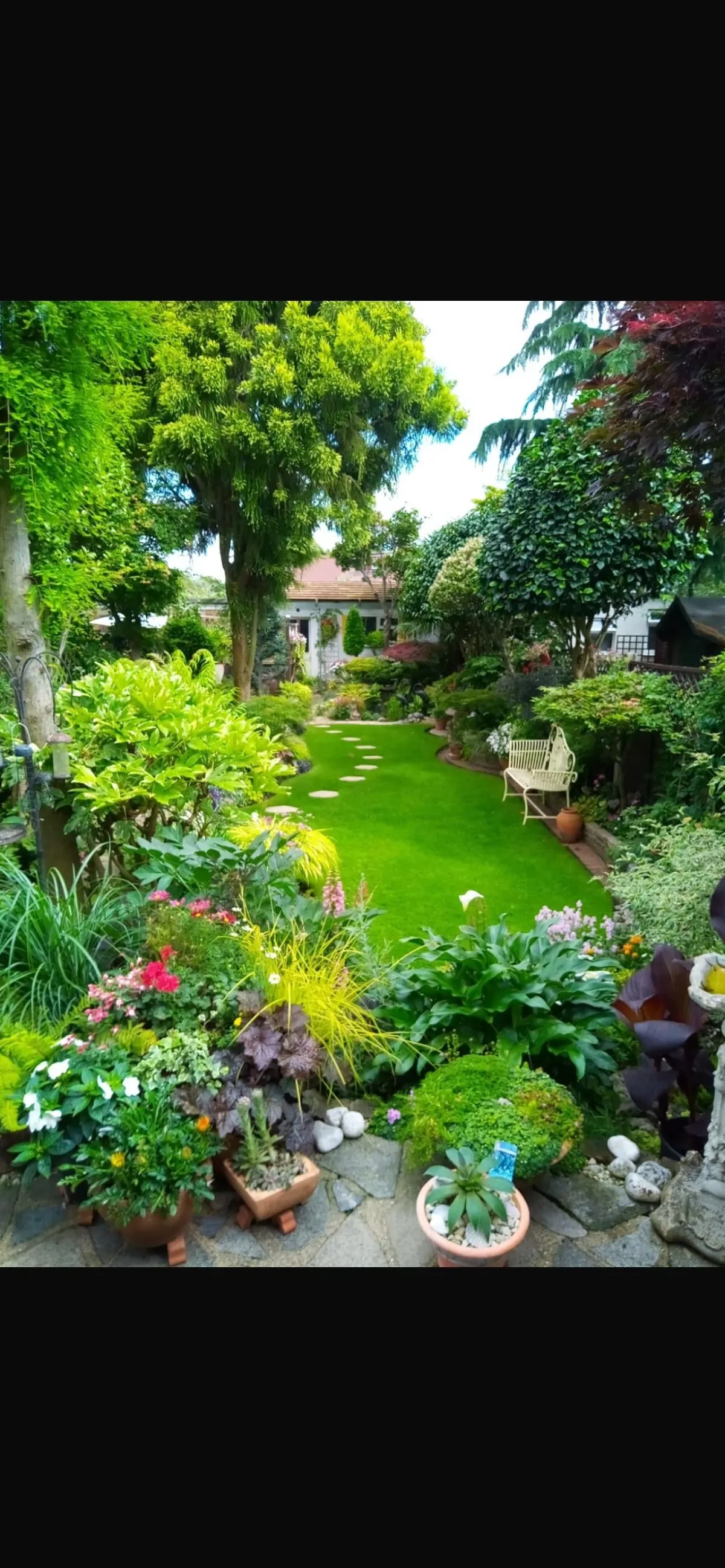 My garden :) UK