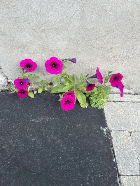 How is this possible?