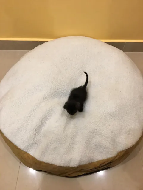 7 years with my Middle Eastern girl