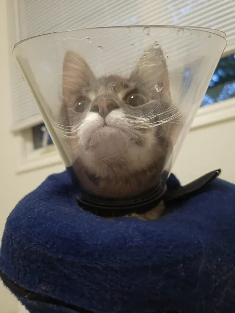 "You won't want to deal with it"