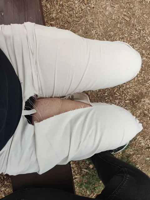 I just got to the zoo and my pants decided to self-destruct