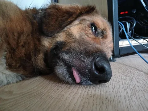 My girl Mandy (Mlemdy)