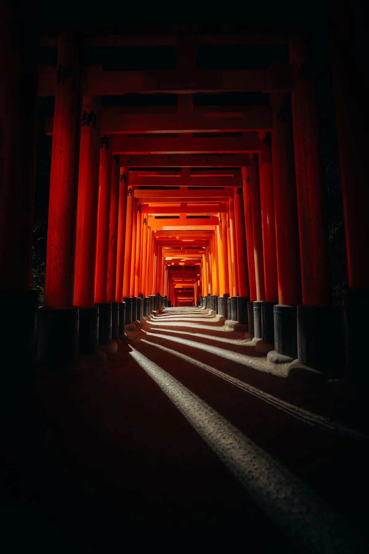 An incredible two weeks in Japan!