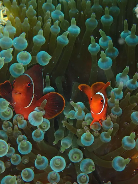 First time in Australia - it was a blast!