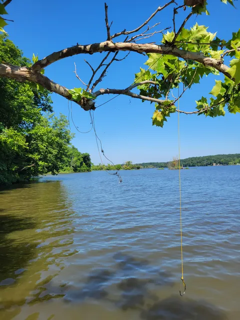 Cut down 20+ illegal fishing lines on a busy public lake this July 4 weekend.