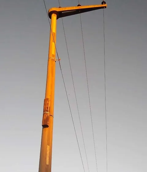 In Argentina when workers replaced this utility pole, they left a piece of the old one because a woodpecker family was nesting inside.