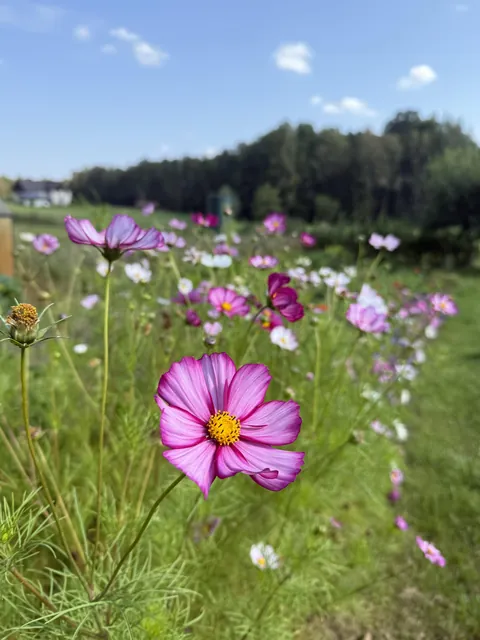 one of my favorites now