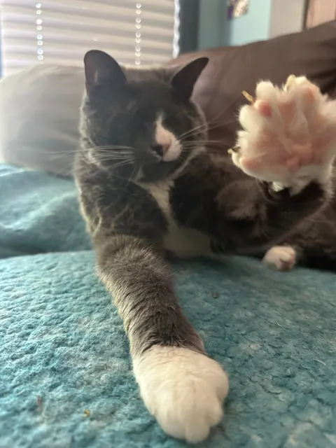 It’s Braille’s 9th Birthday!