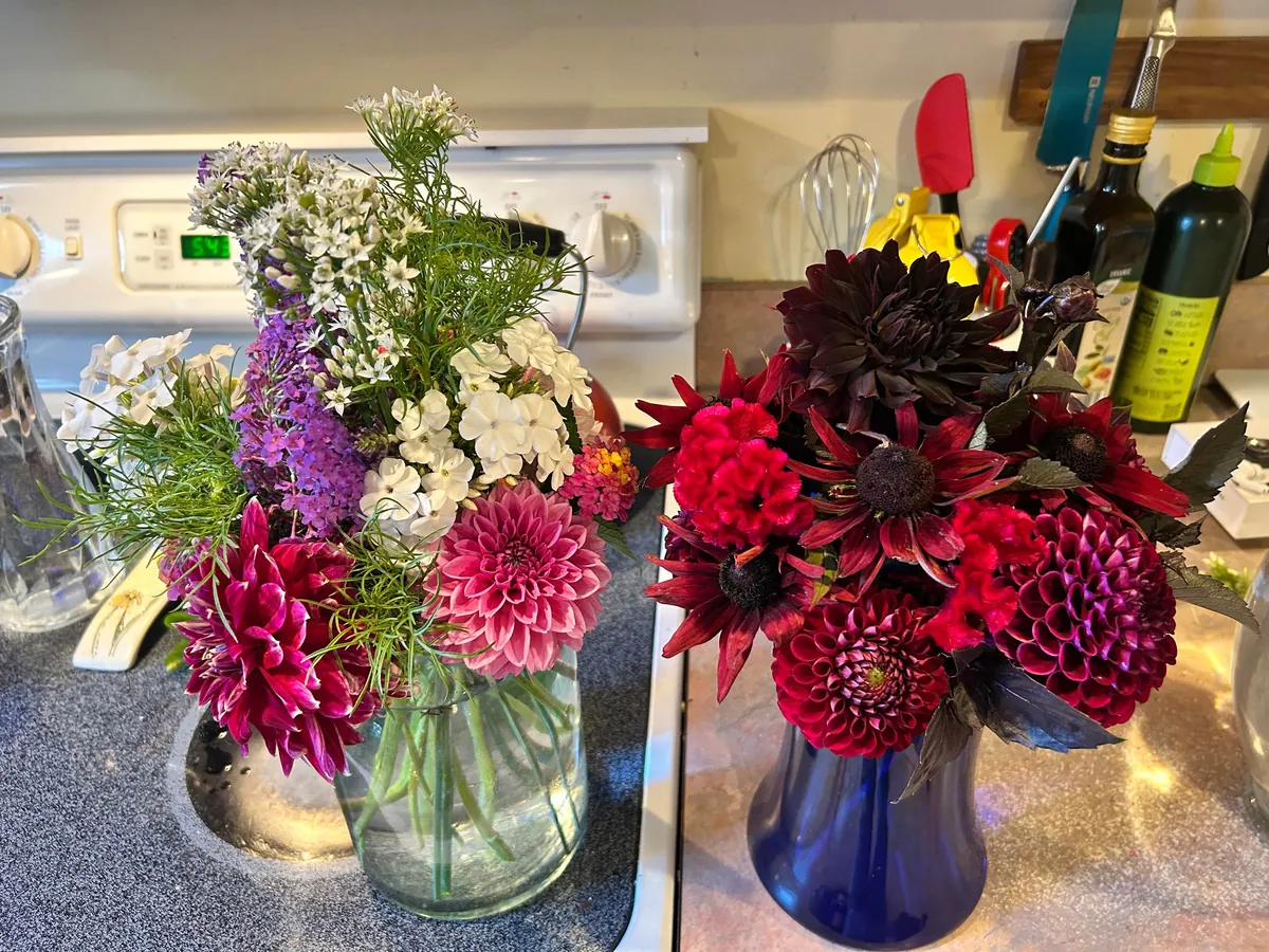 Reaping what I sowed as they say.